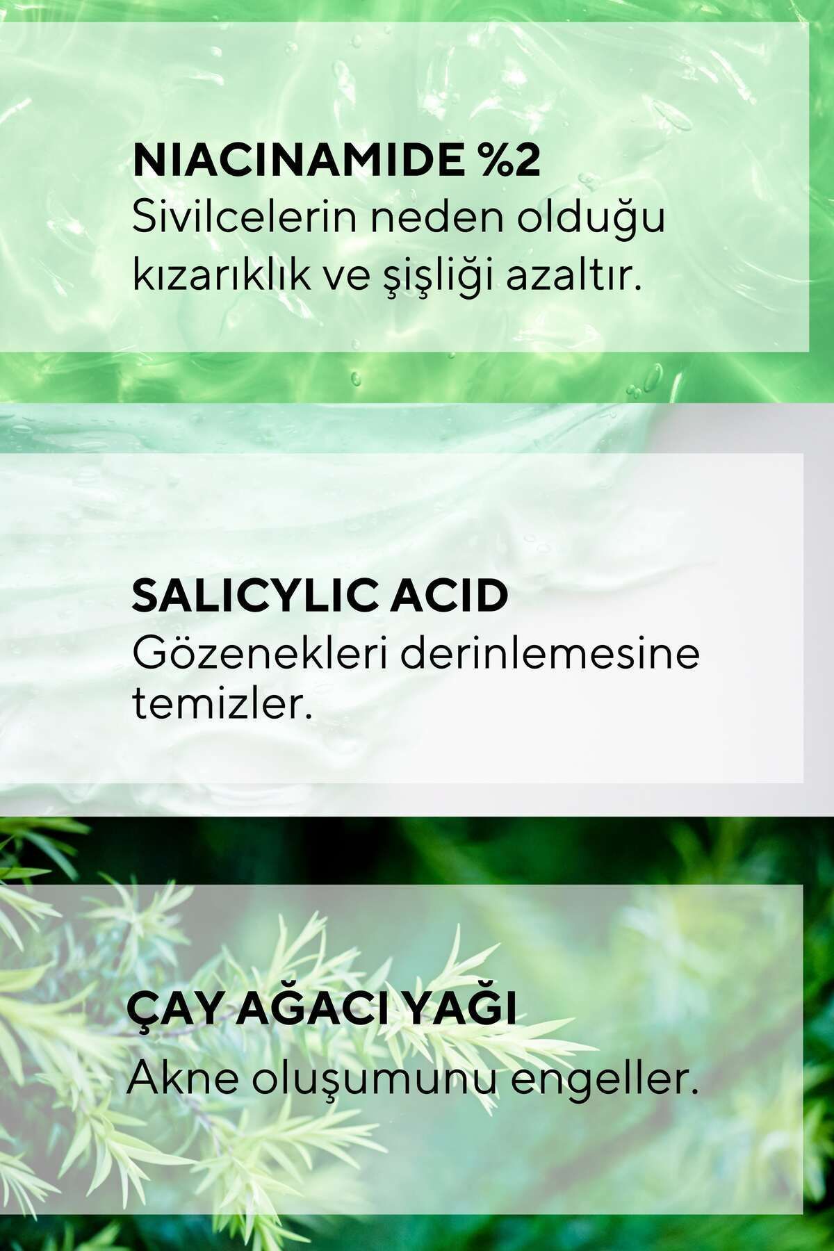 سرم پوست ANTI ACNE و SKIN اسید سالیسیلیک درخت چای 30 میل The Ceel