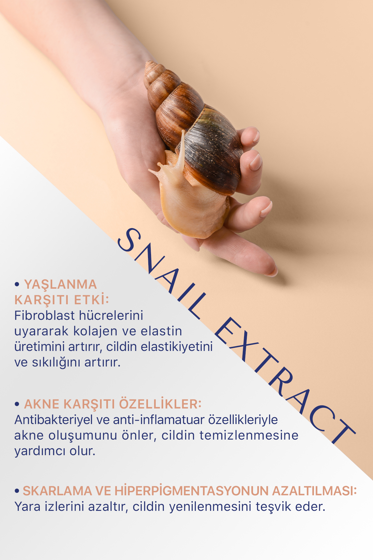 سرم پوست   Verda Riche | TYC3AENQIN172172675810612 اورجینال - تصویر 7