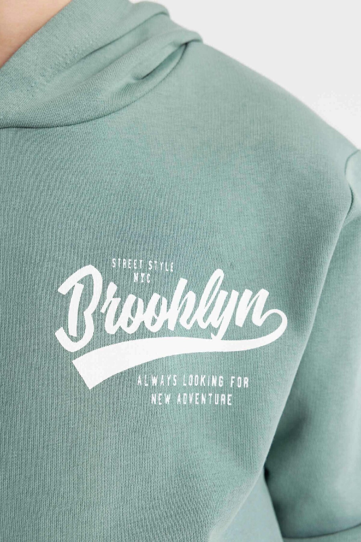 سویشرت پسرانه دفاکتو | C7558A824AU Defacto - Image 4