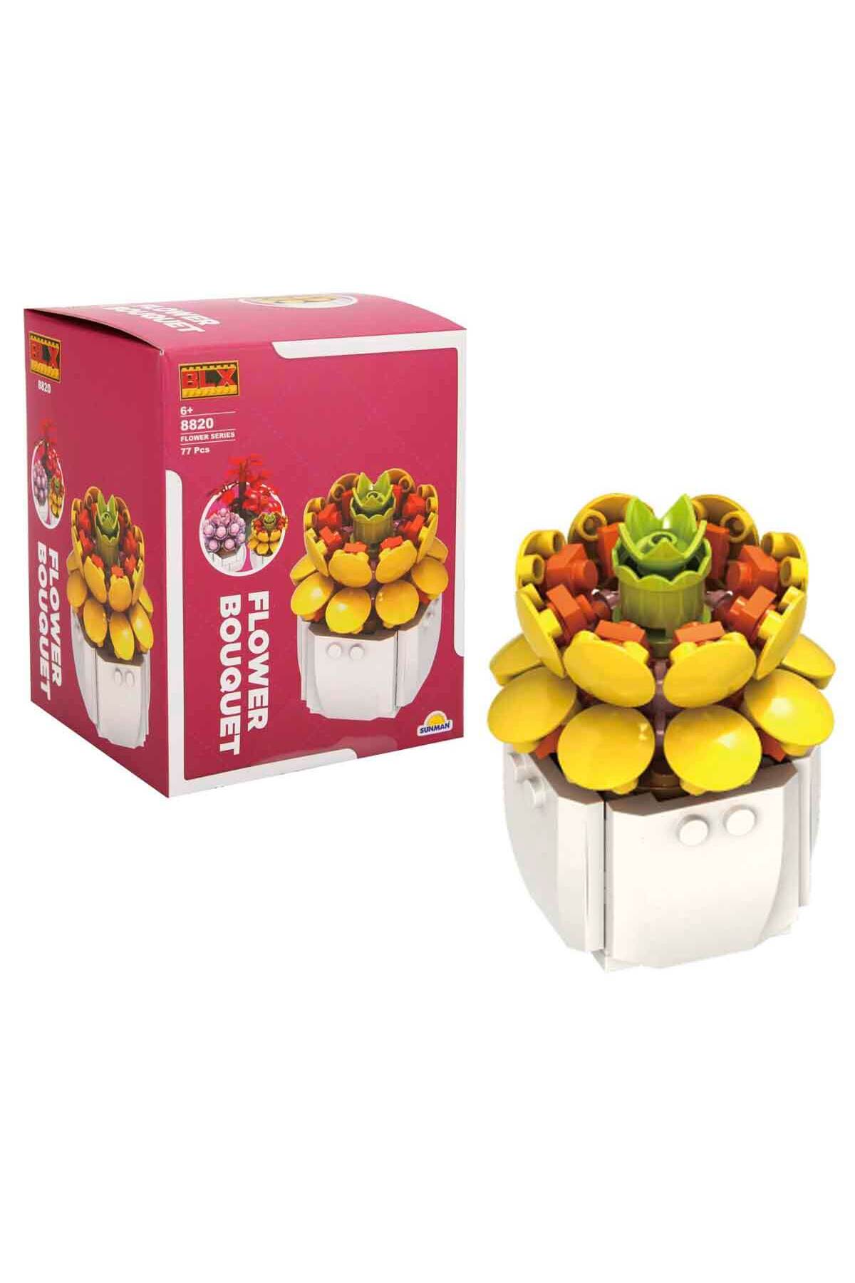 سان بلکس گیاه گلها ۸۸۲۰