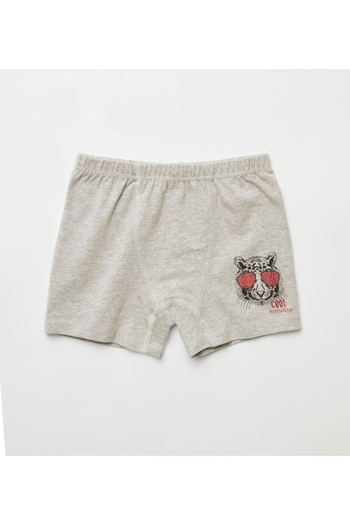 natuline-Boy's Organic Cotton Lycra Boxer 4pcs Cool Tiger Lycra 3504-4 5