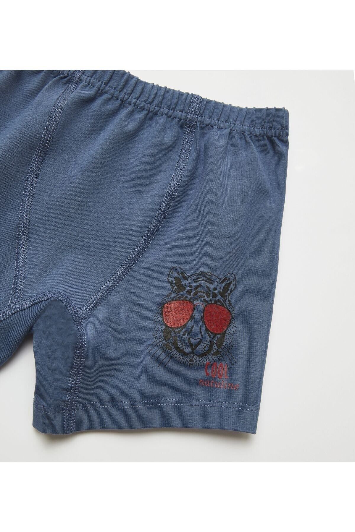 natuline-Boy's Organic Cotton Lycra Boxer 4pcs Cool Tiger Lycra 3504-4 4