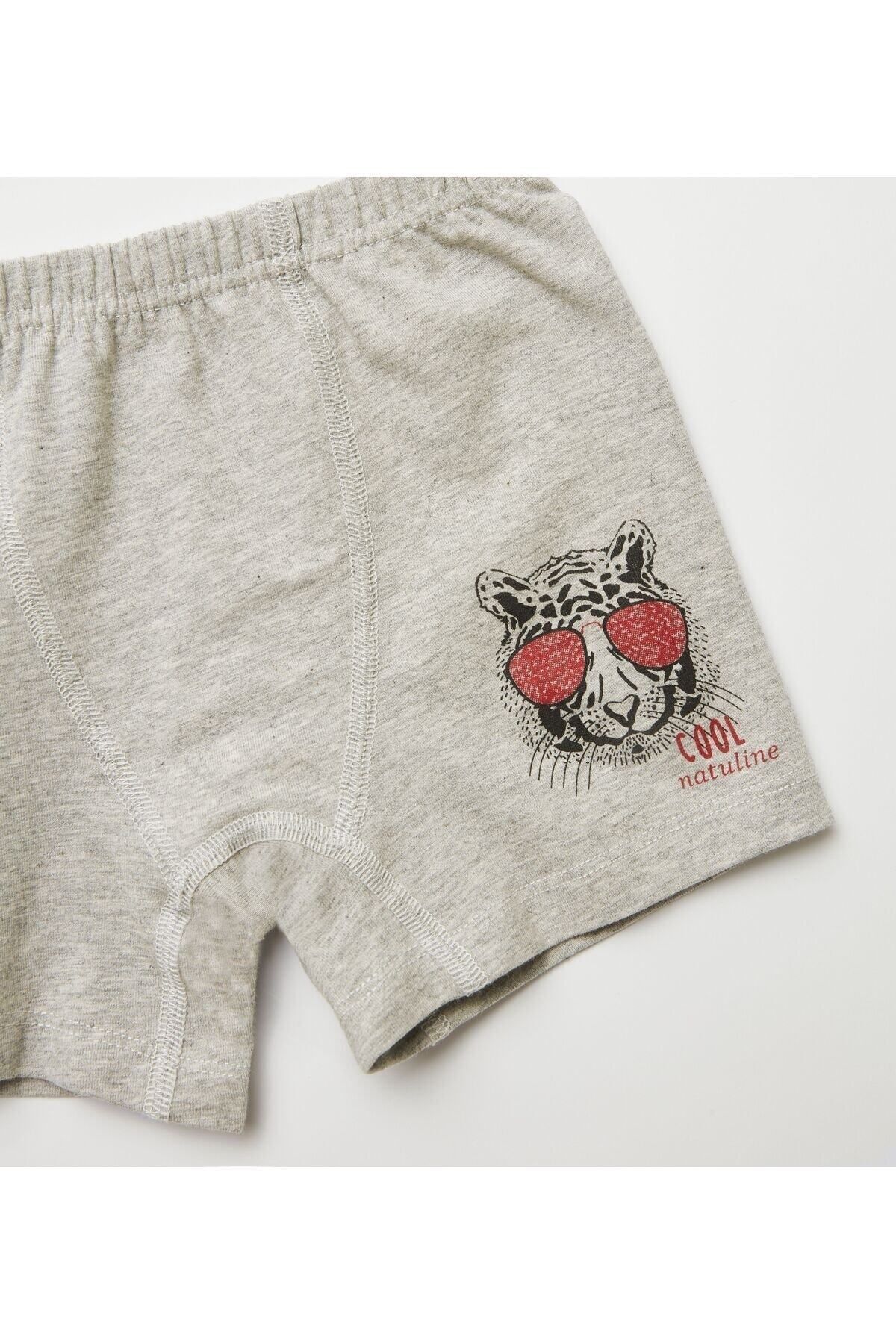 natuline-Boy's Organic Cotton Lycra Boxer 4pcs Cool Tiger Lycra 3504-4 6
