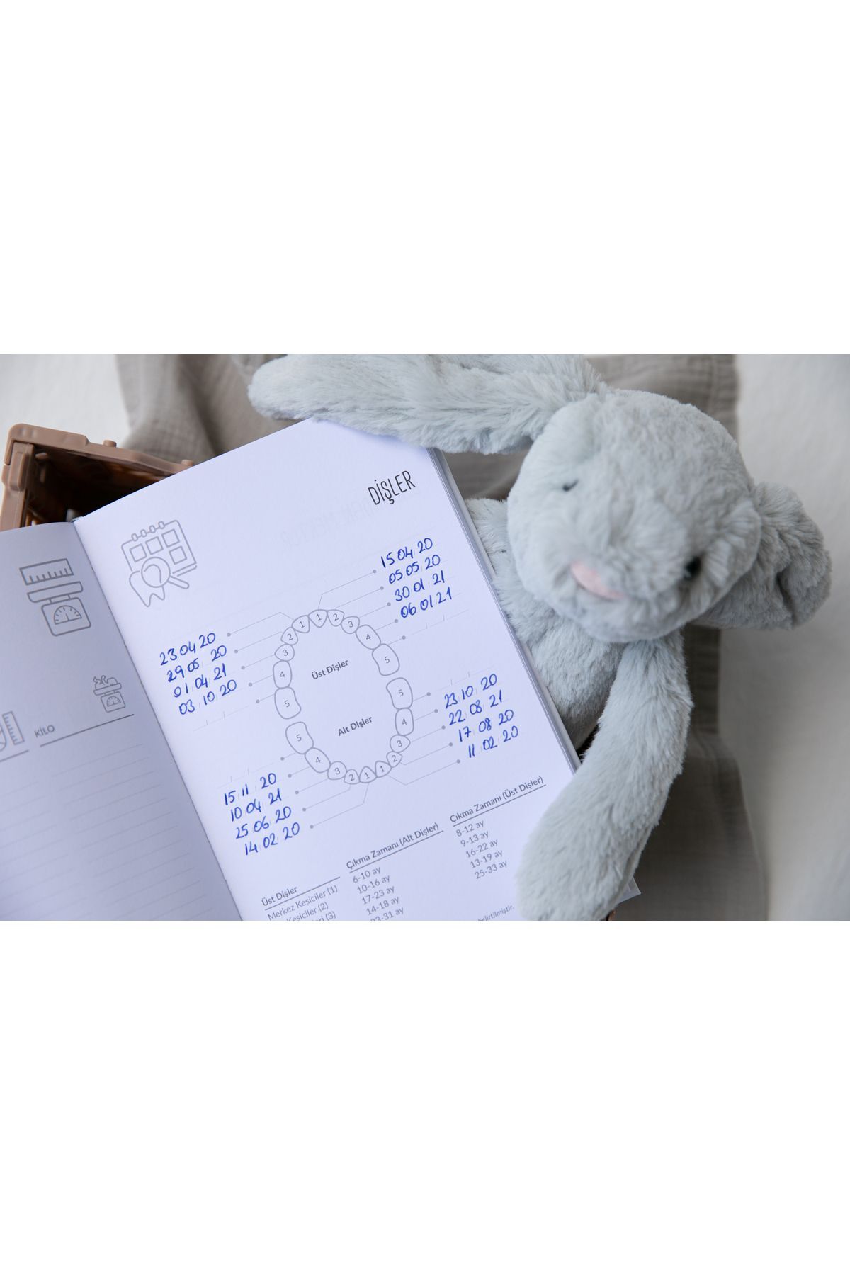 BeyazBirKutu Your Story Baby Journal (Anne ve Bebek Günlüğü-Kutusuz Tek Günlük)-Mint fotoğrafı 5 (önizleme)