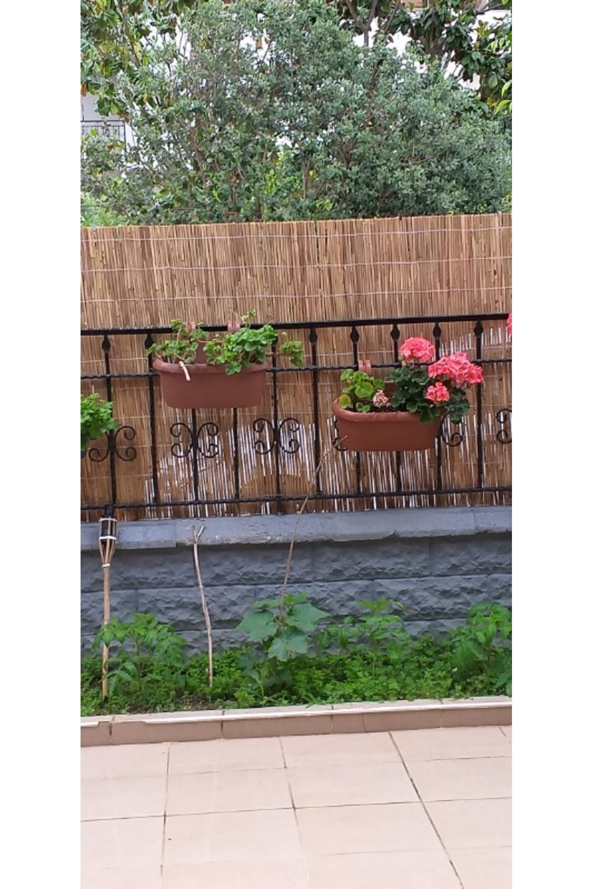 Bambu yükseklik 80 cmx 5 m Saz Kamış Hasır Bahçe Çiti Gölgelik Balkon Çiti 6