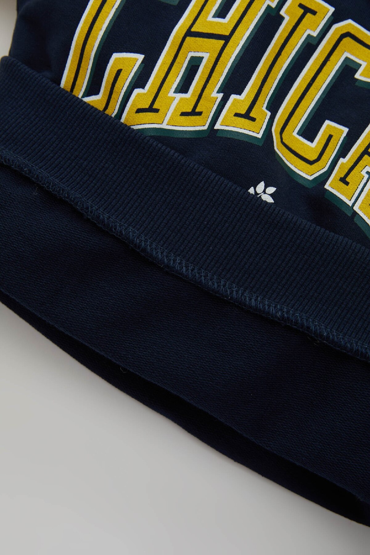 سویشرت پسرانه دفاکتو | D2594A524AU Defacto - Image 3