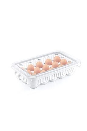 Yumurta Saklama Kabı Kapaklı 15'li Streil Yumurta Organizeri 00587