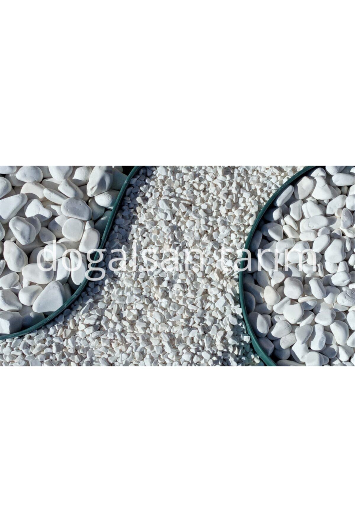 Beyaz Dolomit Taş 10 Kg 4-6 Cm Dere Taşı Çakıl Taşı Saksı Taşı Akvaryum Teraryum Taşı Bahçe Taşı 4