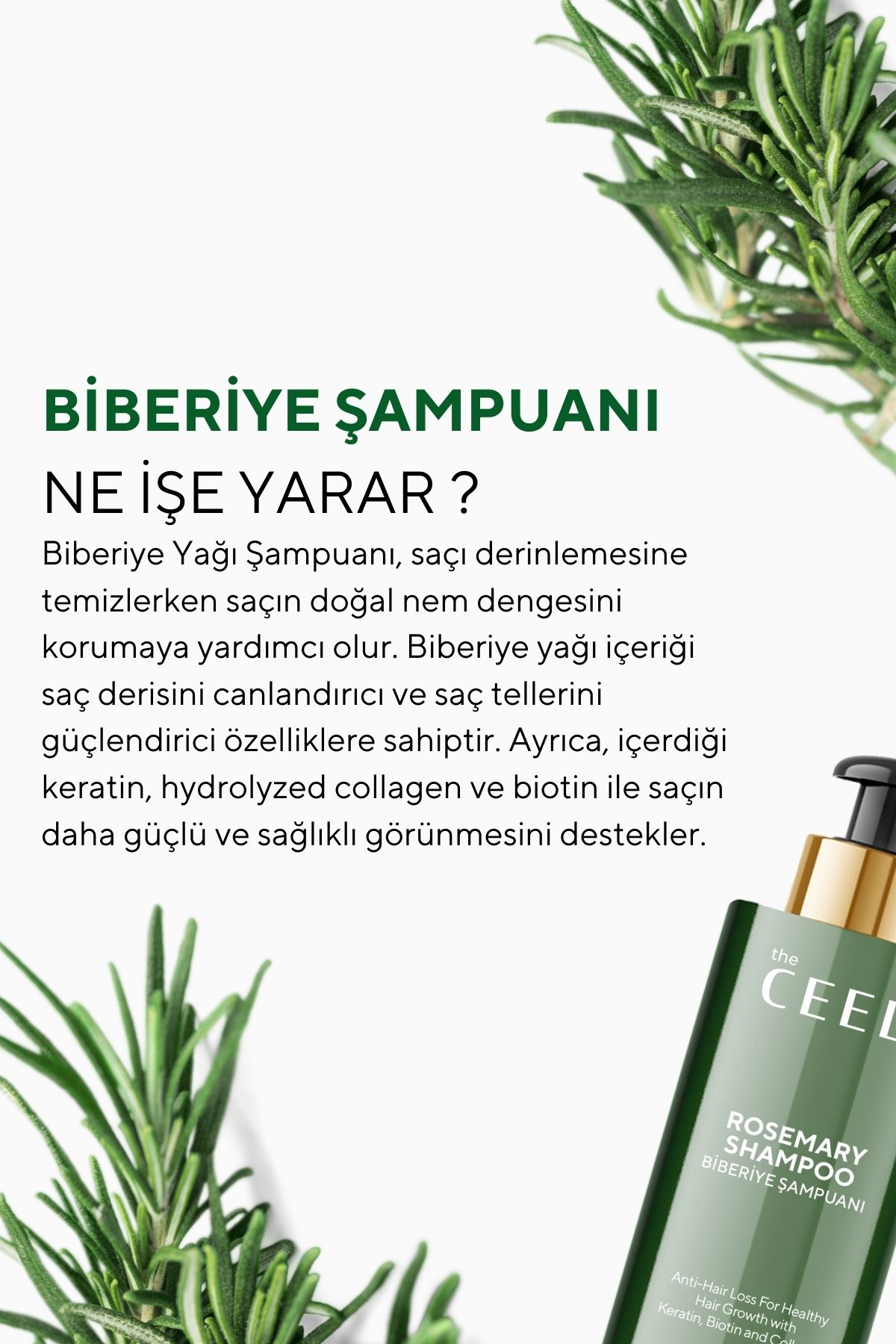 https://cdn.dsmcdn.com/ty1470/product/media/images/prod/QC/20240807/15/da9ab75f-0817-3711-9115-59bbbb41f976/1_org_zoom.jpg