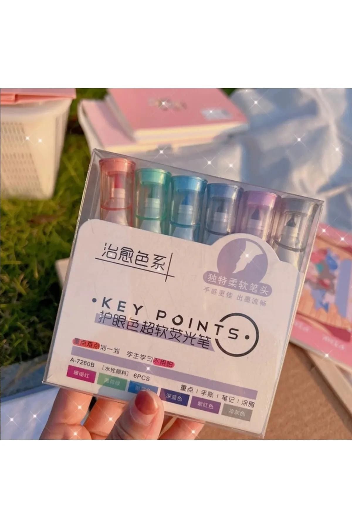 NaSaDAN-Key Point Soft Tones Highlighter Set 4
