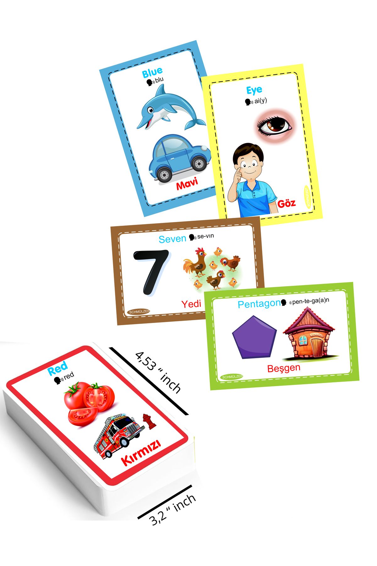 Schmülzer-Educational Activity Card with Turkish English Pronunciation for 1-10 Years - Organs, Colors, Shapes, Numbers 3