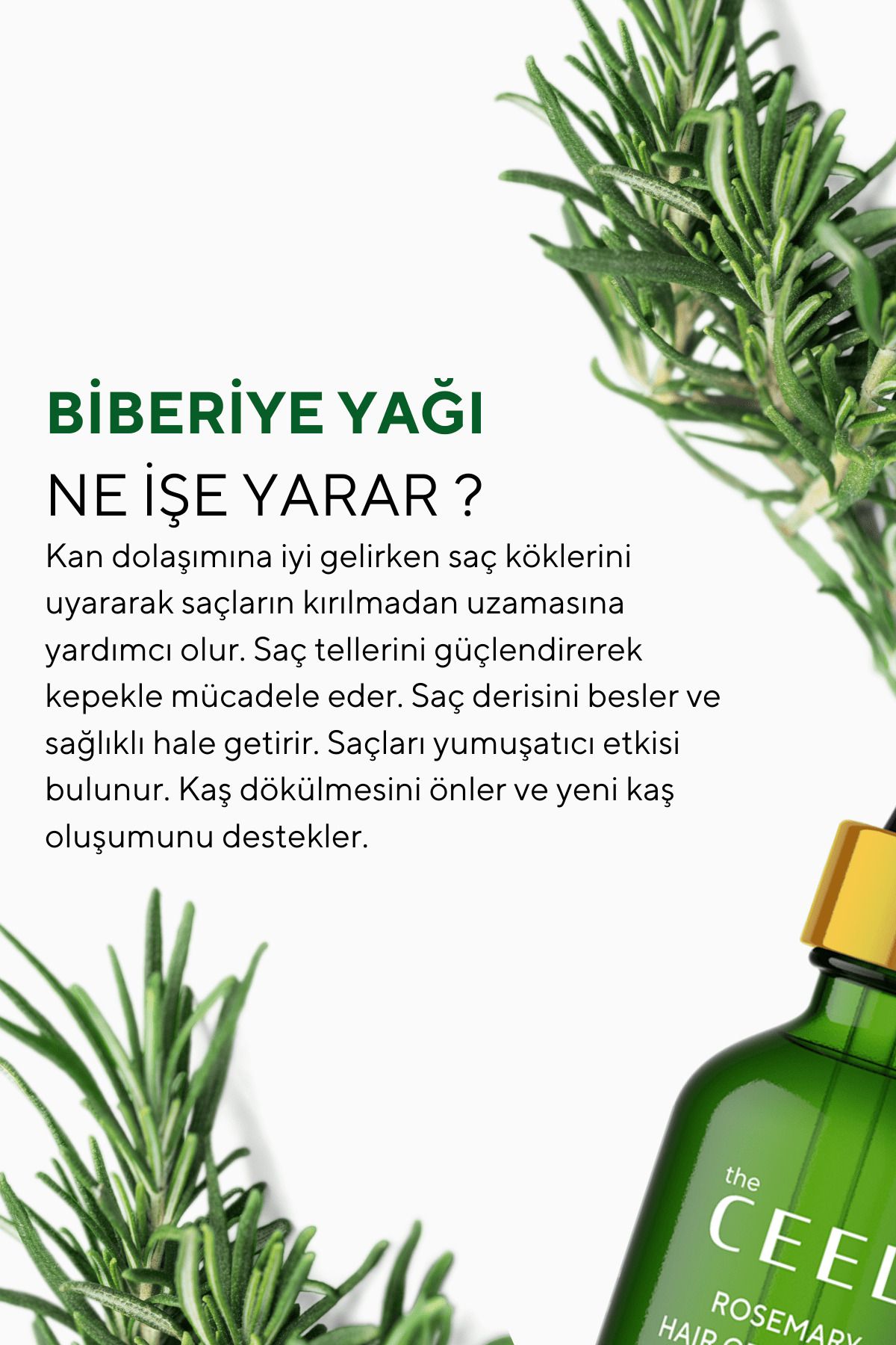 https://cdn.dsmcdn.com/ty1471/product/media/images/prod/QC/20240807/15/a9452b82-ce77-3002-b929-82816093aa1c/1_org_zoom.jpg