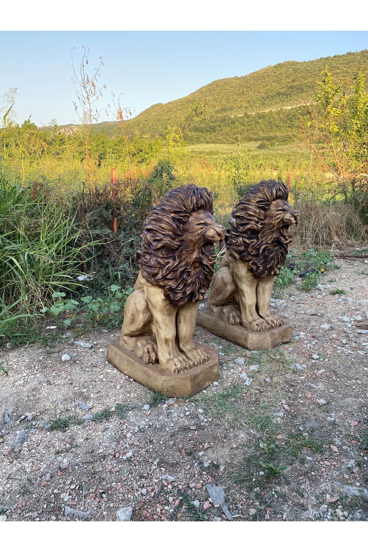 HEYKEL 1.50 METRE YÜKSEKLİK OTURAN ASLAN 2
