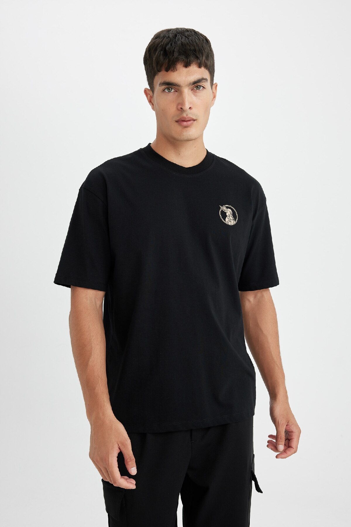 تی شرت مردانه دفاکتو | D4906AX24AU Defacto - Image 5