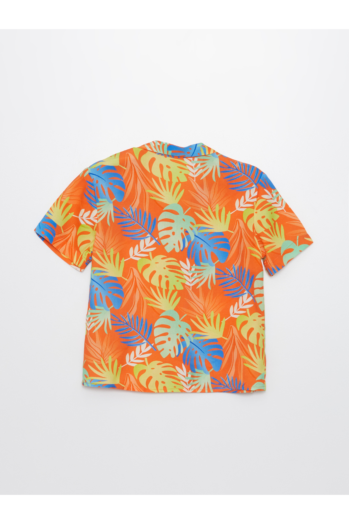 LC Waikiki Kısa Kollu Baskılı Erkek Bebek Gömlek fotoğrafı 5 (önizleme)