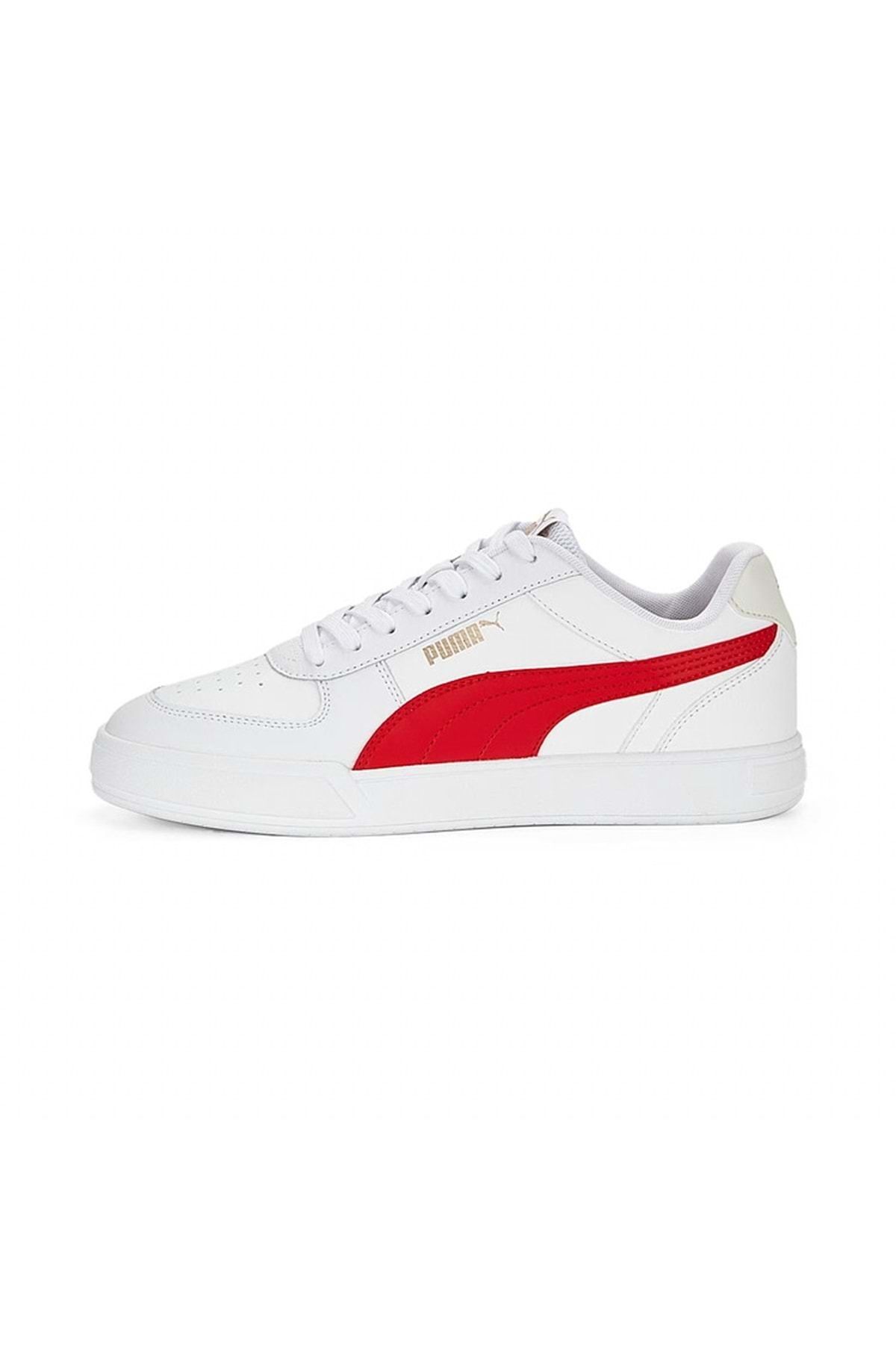 Puma caracal red online