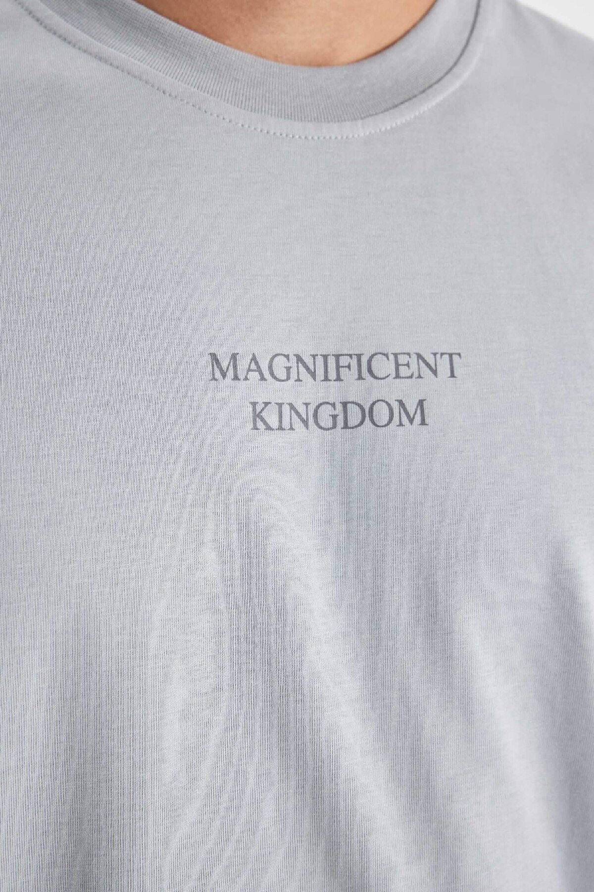 تی شرت مردانه دفاکتو | D4909AX24AU Defacto - Image 6