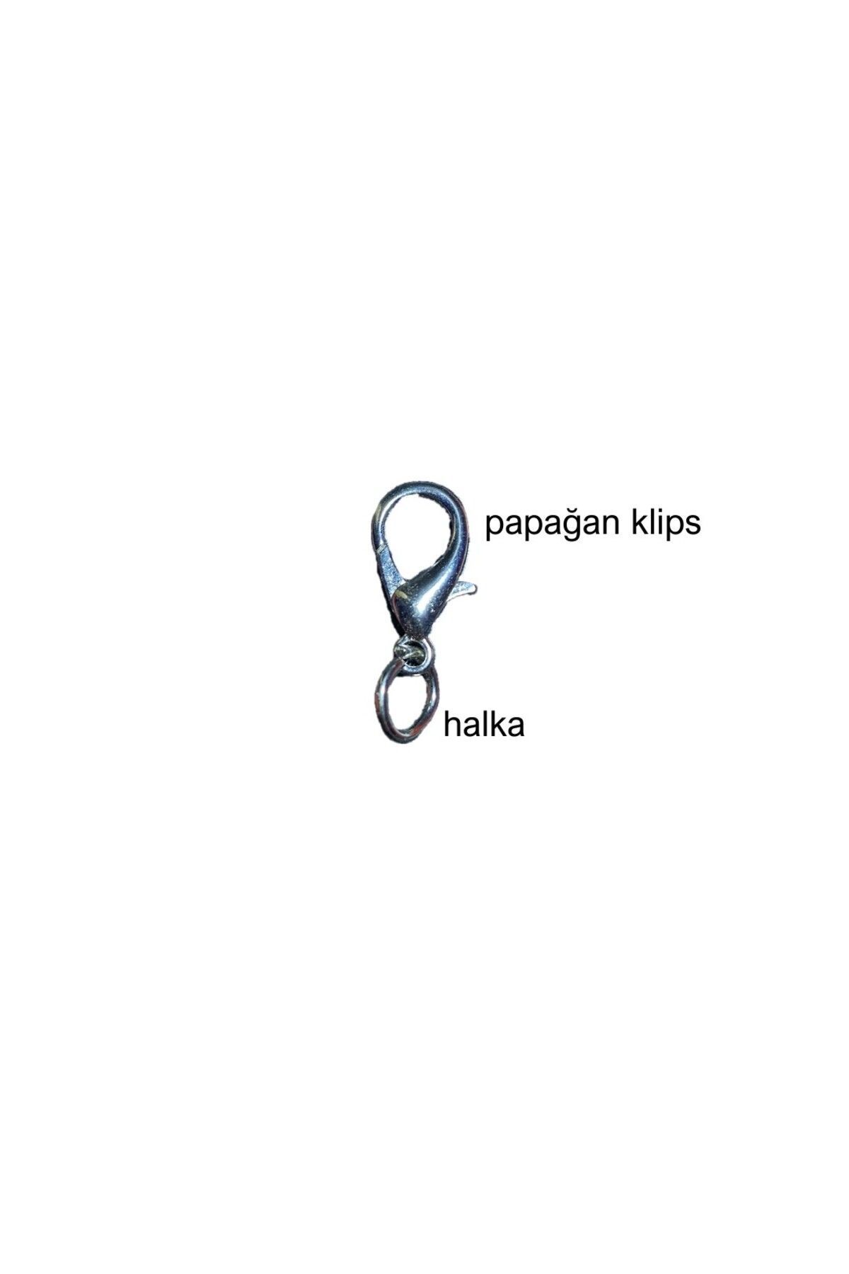 HERCULES-Dog and Bone Patterned Name Tag - Imprint, Phone Number Written 5