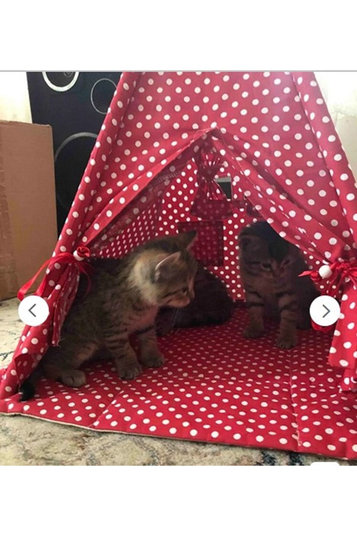 Altev Kedi Evi , Kedi Yuvası, Kedi Yatağı, Küçük Köpek Içinde Kullanır Tabanı 40x40 Cm , Yüksekliği 60 Cm