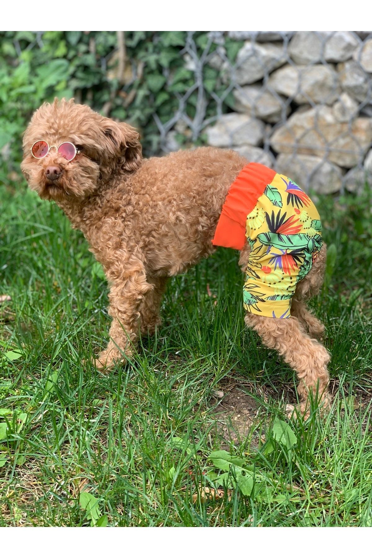 aria pet butik Dog Cat Swim Shorts Swimwear
