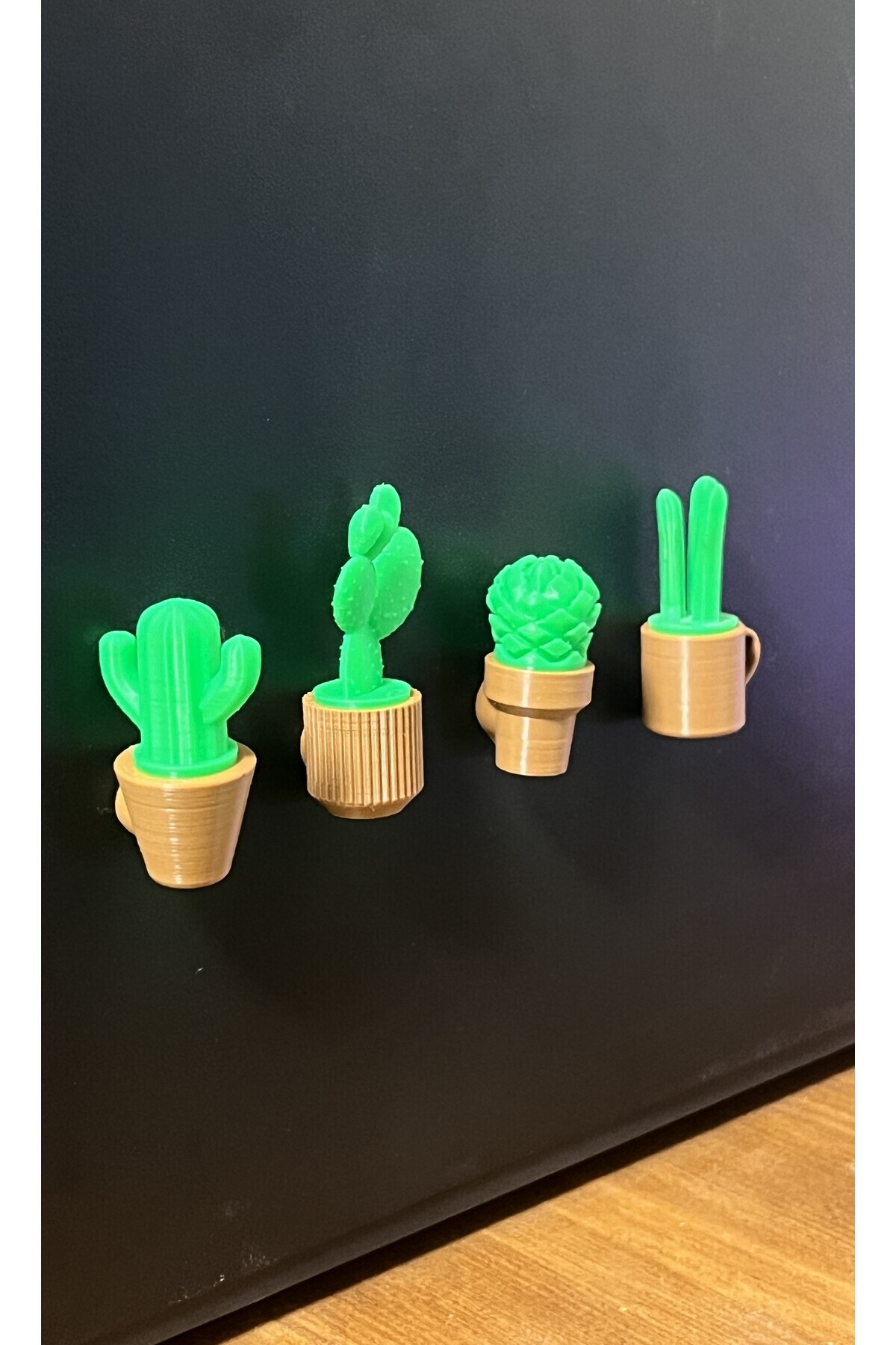 Shaddshop Mini Saksılı Bitkiler Mıknatıslı Buzdolabı Süsü