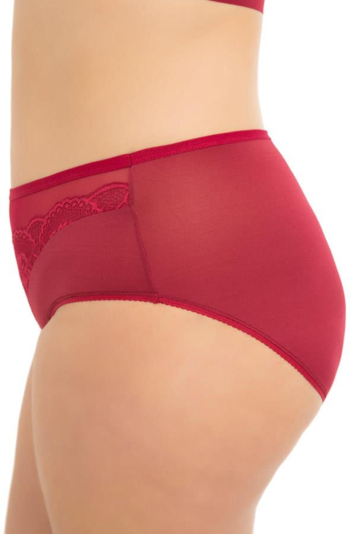 Cottonhill-Large Size Transparent Lace Detailed Bikini Panties - Elastic Waist, 3 Pack 8
