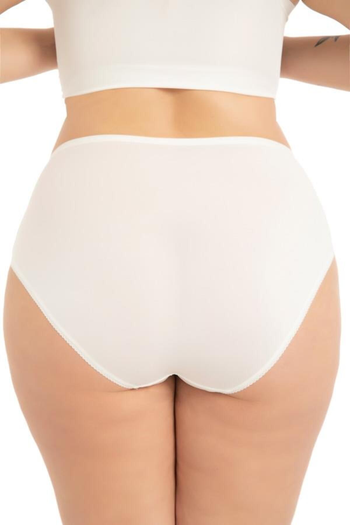 Cottonhill-Large Size Transparent Lace Detailed Bikini Panties - Elastic Waist, 3 Pack 7