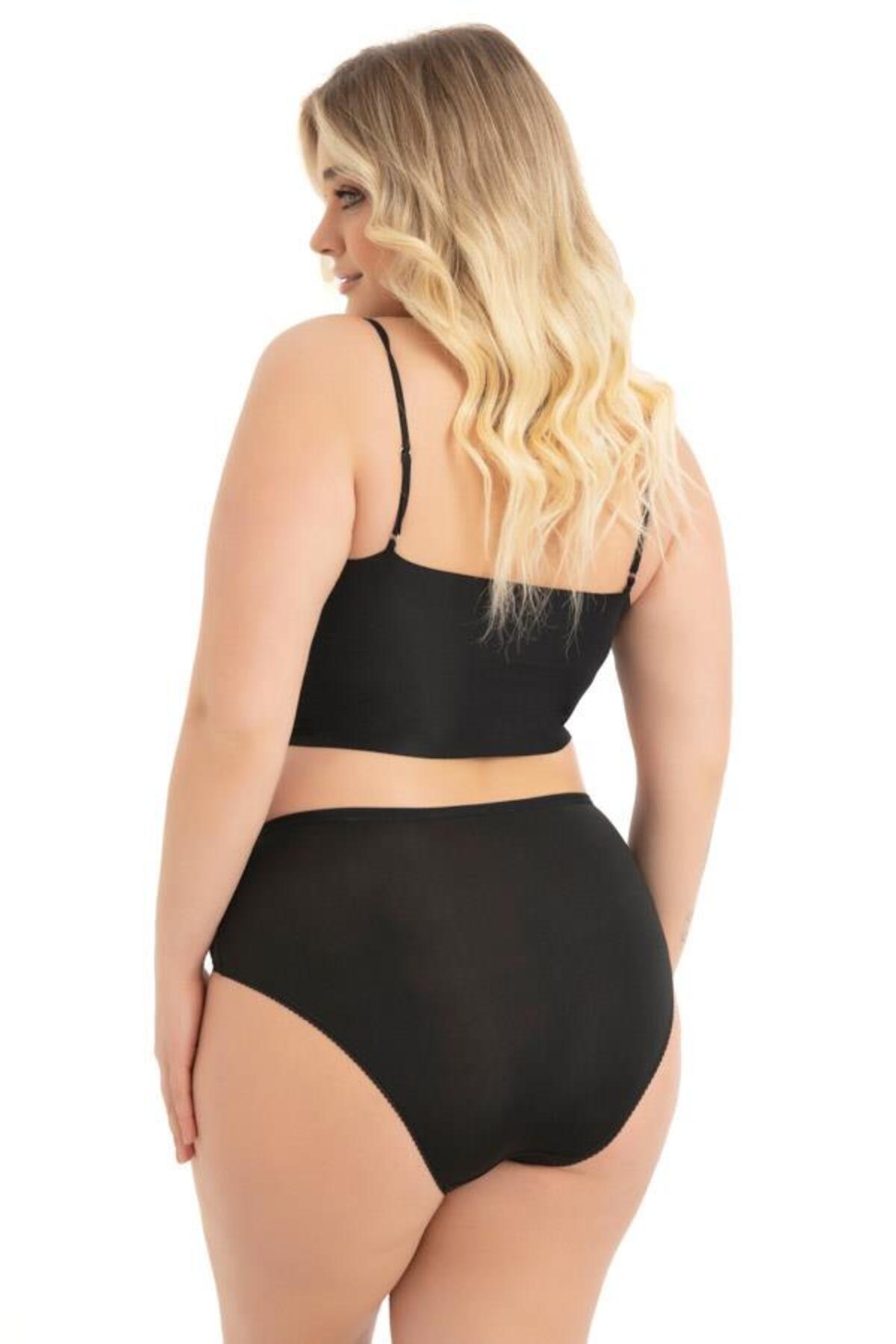 Cottonhill-Large Size Transparent Lace Detailed Bikini Panties - Elastic Waist, 3 Pack 2