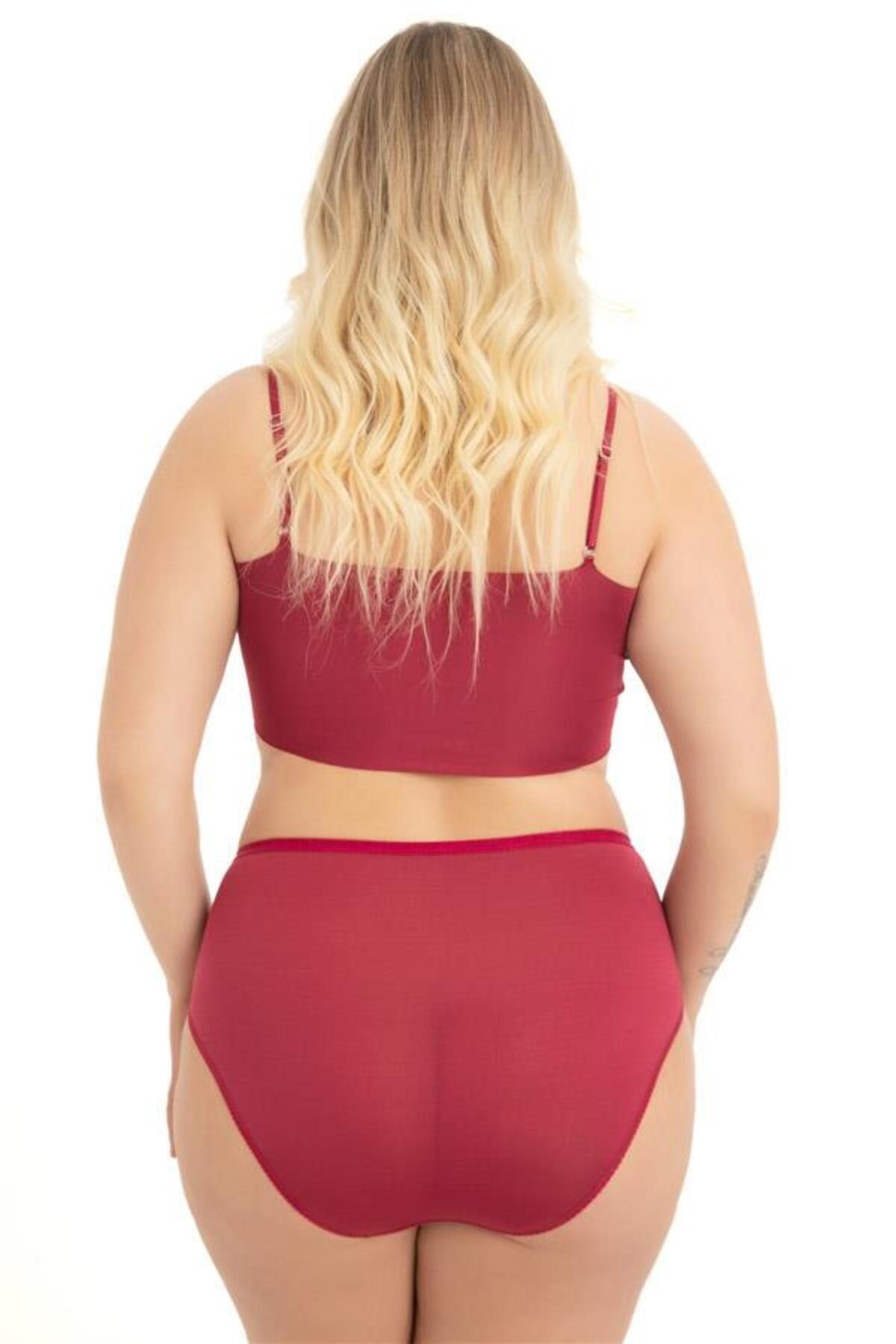 Cottonhill-Large Size Transparent Lace Detailed Bikini Panties - Elastic Waist, 3 Pack 5
