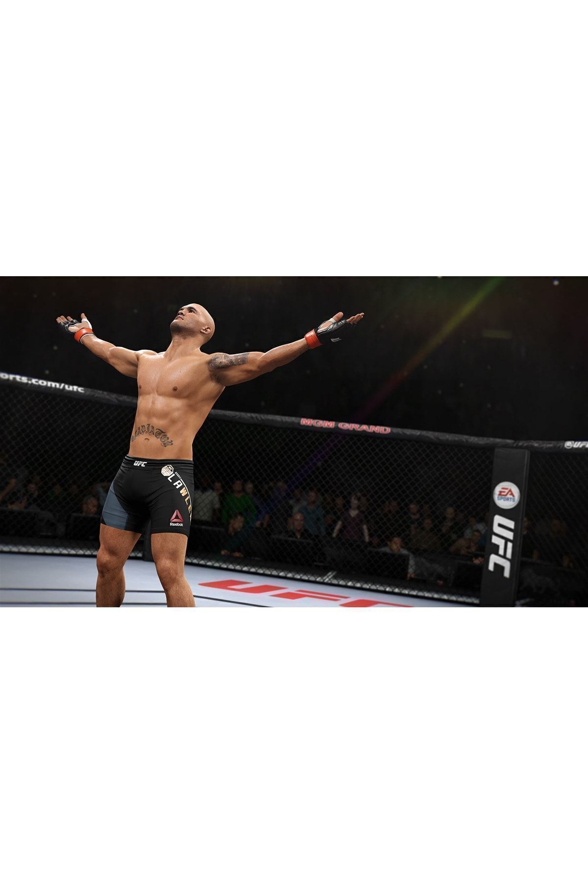 Genel Markalar Ufc 2 Ps4 Oyun (JELATİNSİZ 2. EL)