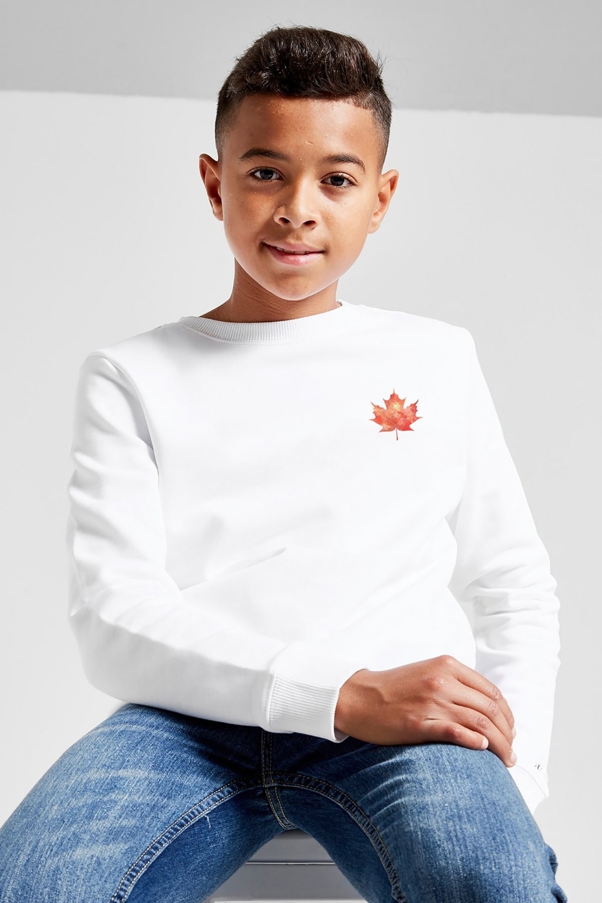 سویشرت  BGA10265-COCSW