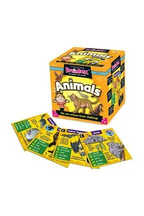Brainbox Hayvanlar Ingilizce Akıl Ve Zeka Eğitici Oyun Kartları 90002