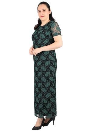 Kadın Büyük Beden Elbise Epl2461 Yuvarlak Yaka Dantel Kısa Kol Astar Diz Altı Yeşil 703500100024