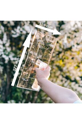 Genel Markalar Duyar Canlı Ipek Sıva Malası (ŞEFFAF MİKA MALA) | 12.5x27.7 Cm...