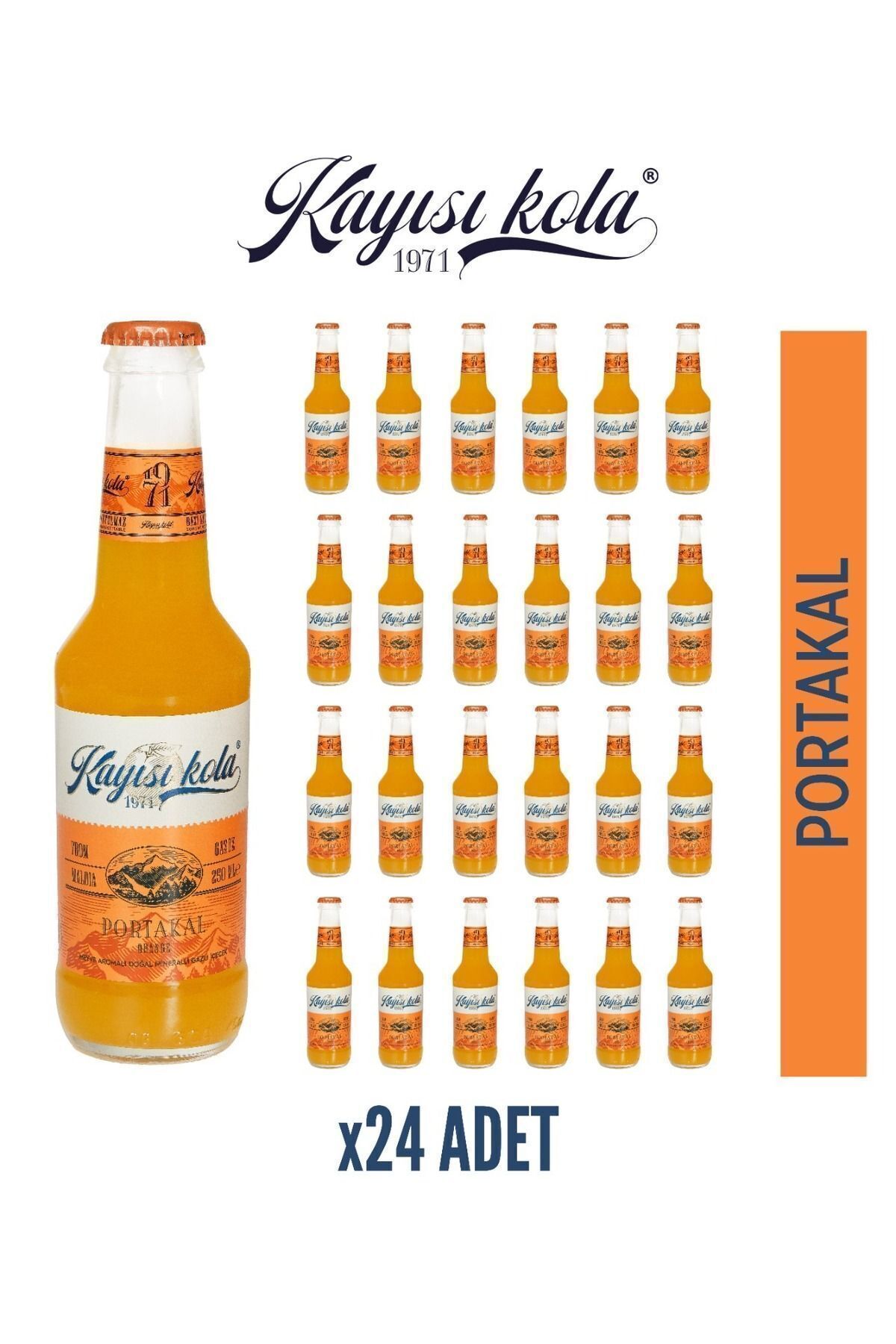 Kayısı Kola Doğal Mineralli Portakal Aromalı Gazlı Içecek 24 Adet