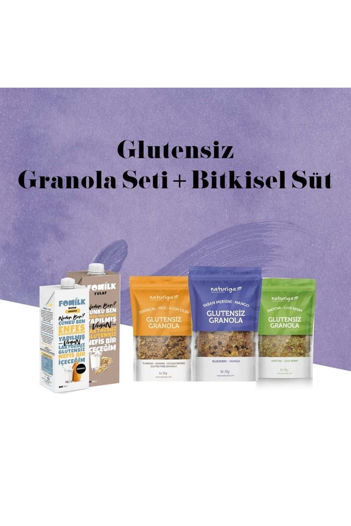 Naturiga Glutensiz Granola ve Bitkisel Süt Seti