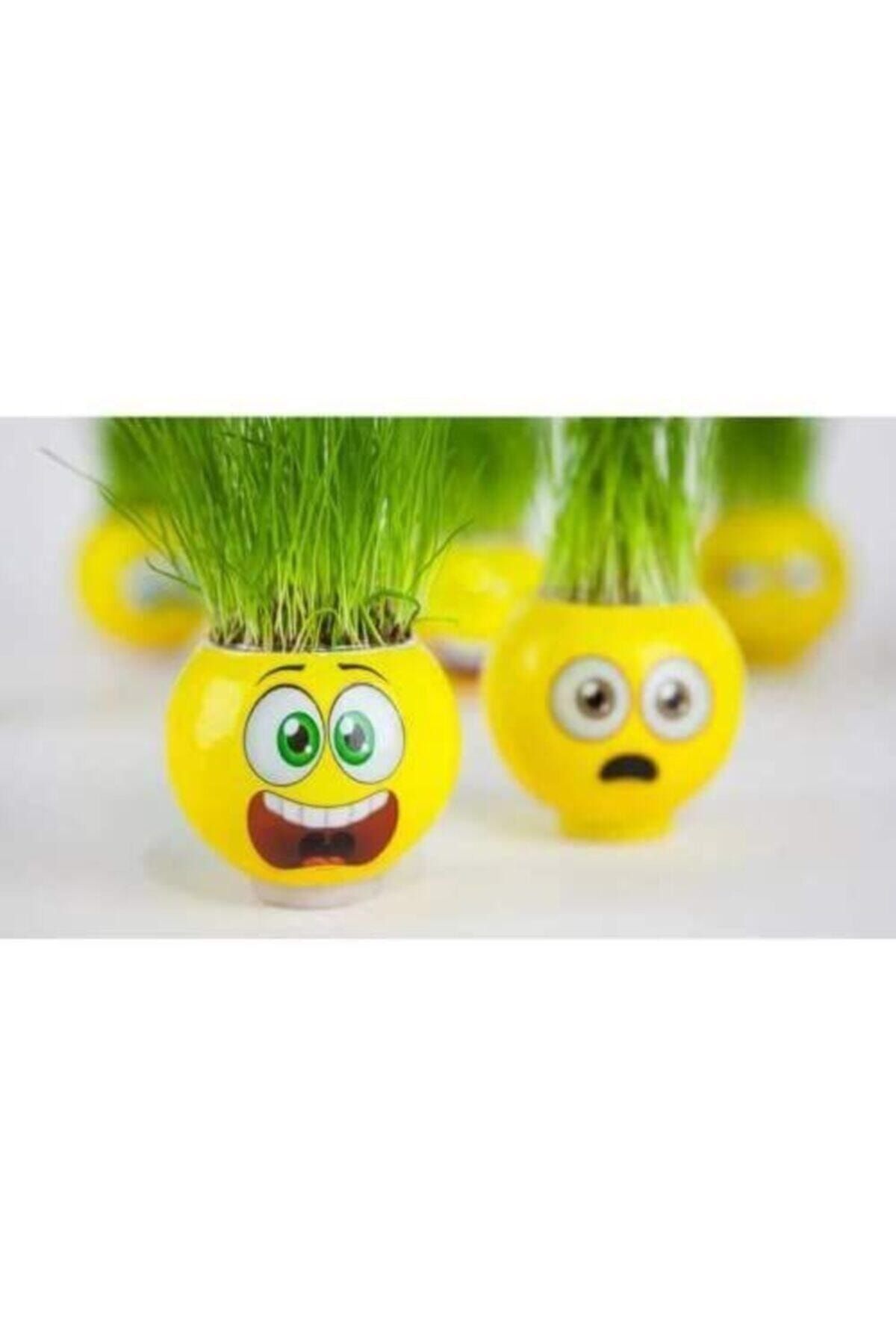 Genel Markalar Adam 24 Adet Doğum Günü Hediyelik Okul Öncesi Kreş Aktivite Etkinlikler Emojili fotoğrafı 7 (önizleme)