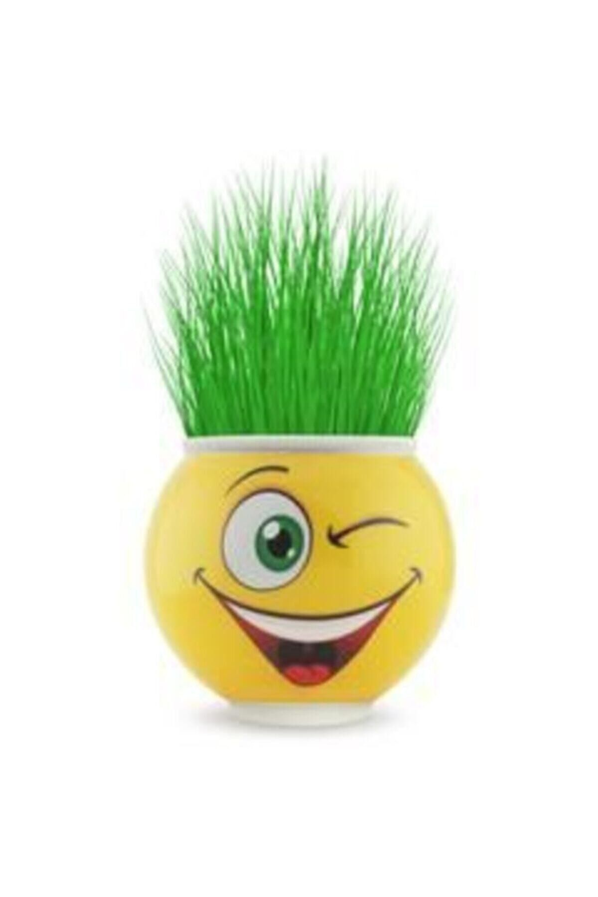 Genel Markalar Adam 24 Adet Doğum Günü Hediyelik Okul Öncesi Kreş Aktivite Etkinlikler Emojili fotoğrafı 4 (önizleme)