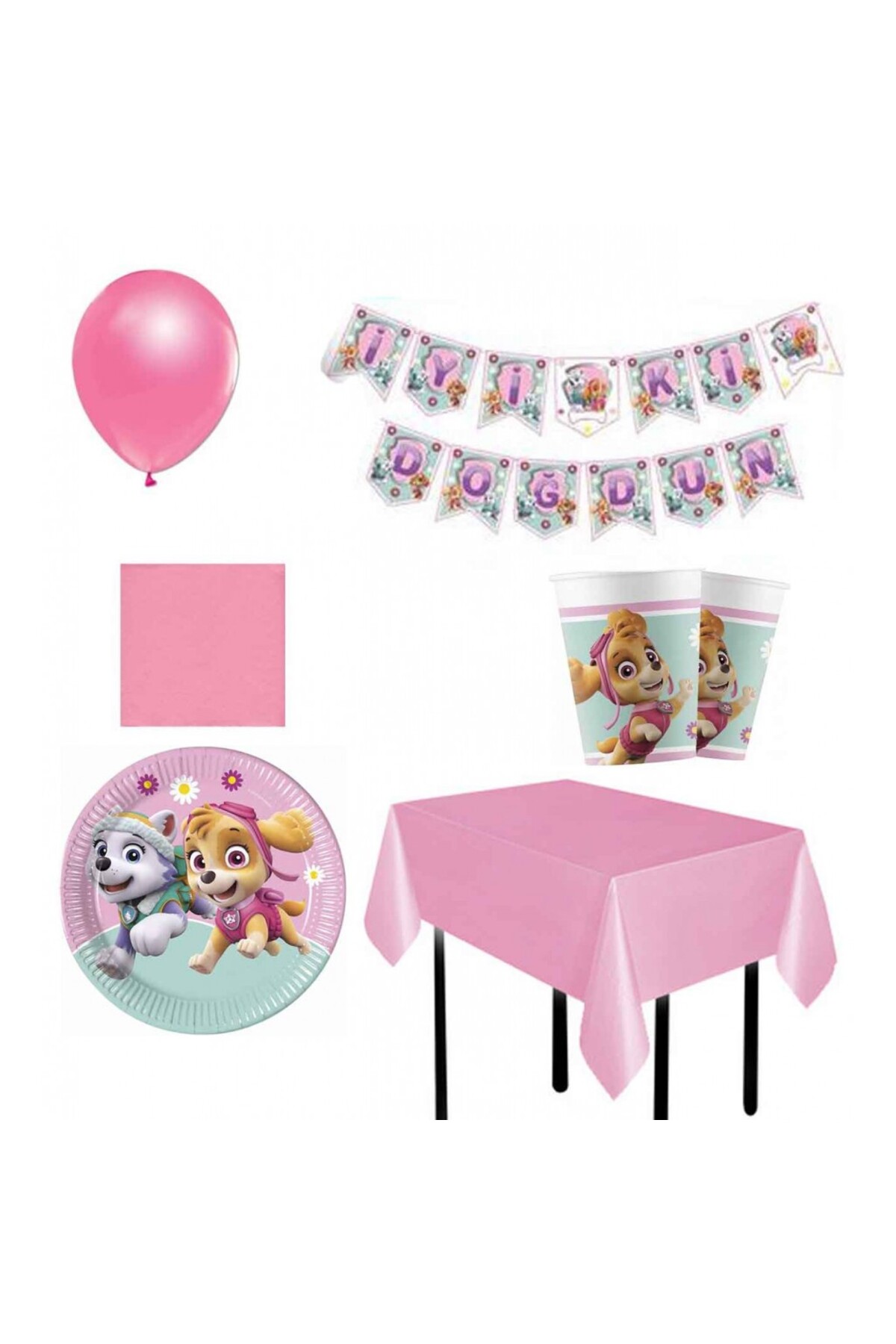 Hayaller Dükkanı Paw Patrol Skye &amp; Everest 16 Kişilik Set-