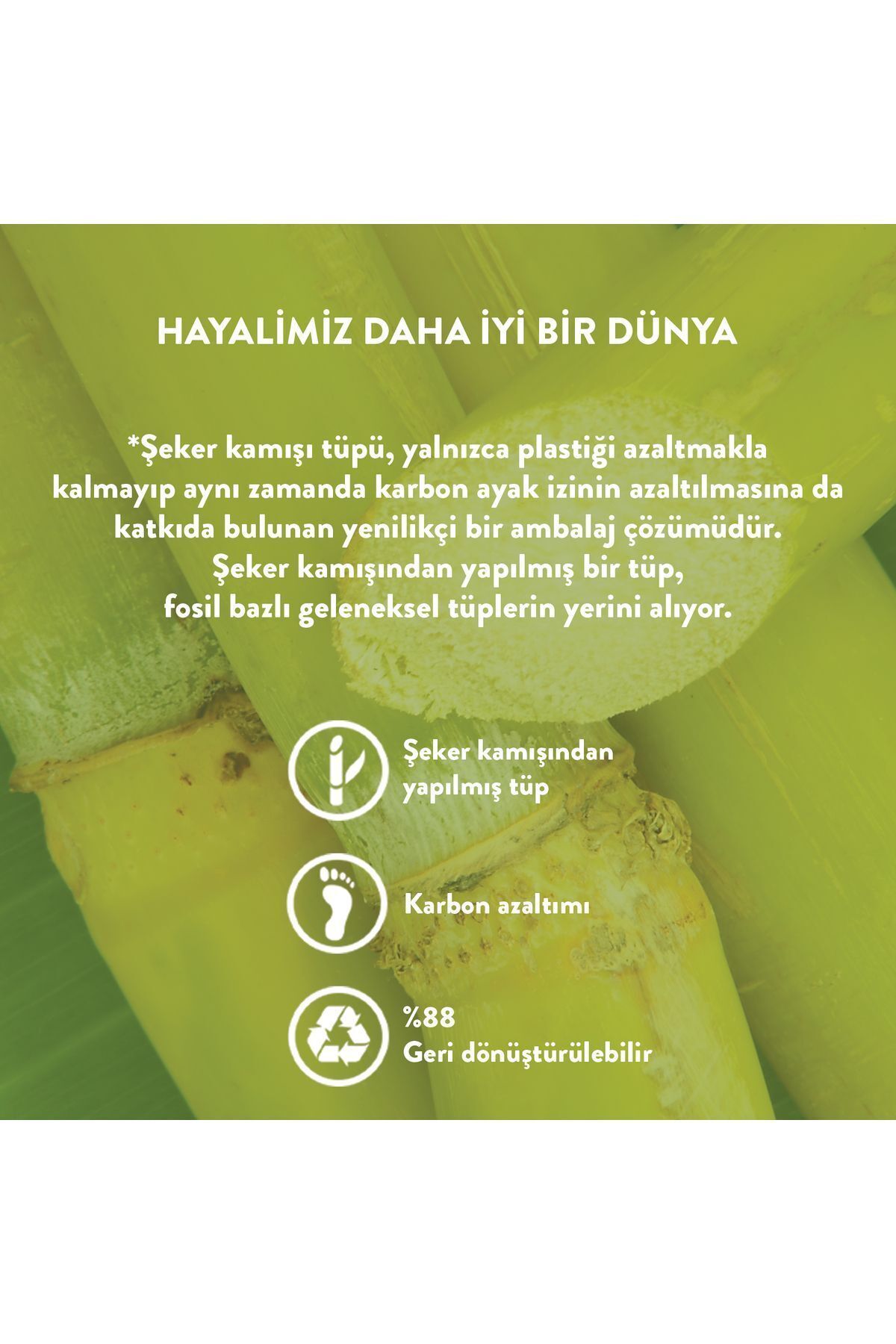 Ananas & Coconut Özlü Kuru & Yıpranmış Saçlara Özel Saç Kremi 150ml — 1.1.THA.20581 — تصویر 4 از 5