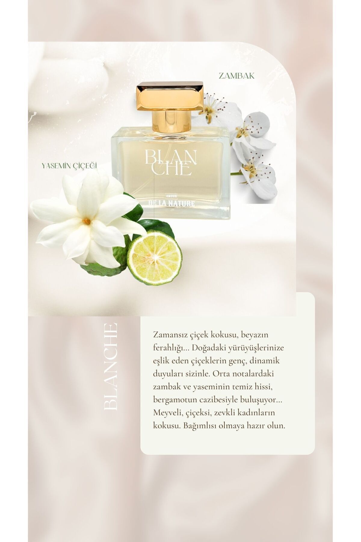 عطر زنانه بلانش 50ML ادوپرفیوم AMOUR DE LA NATURE