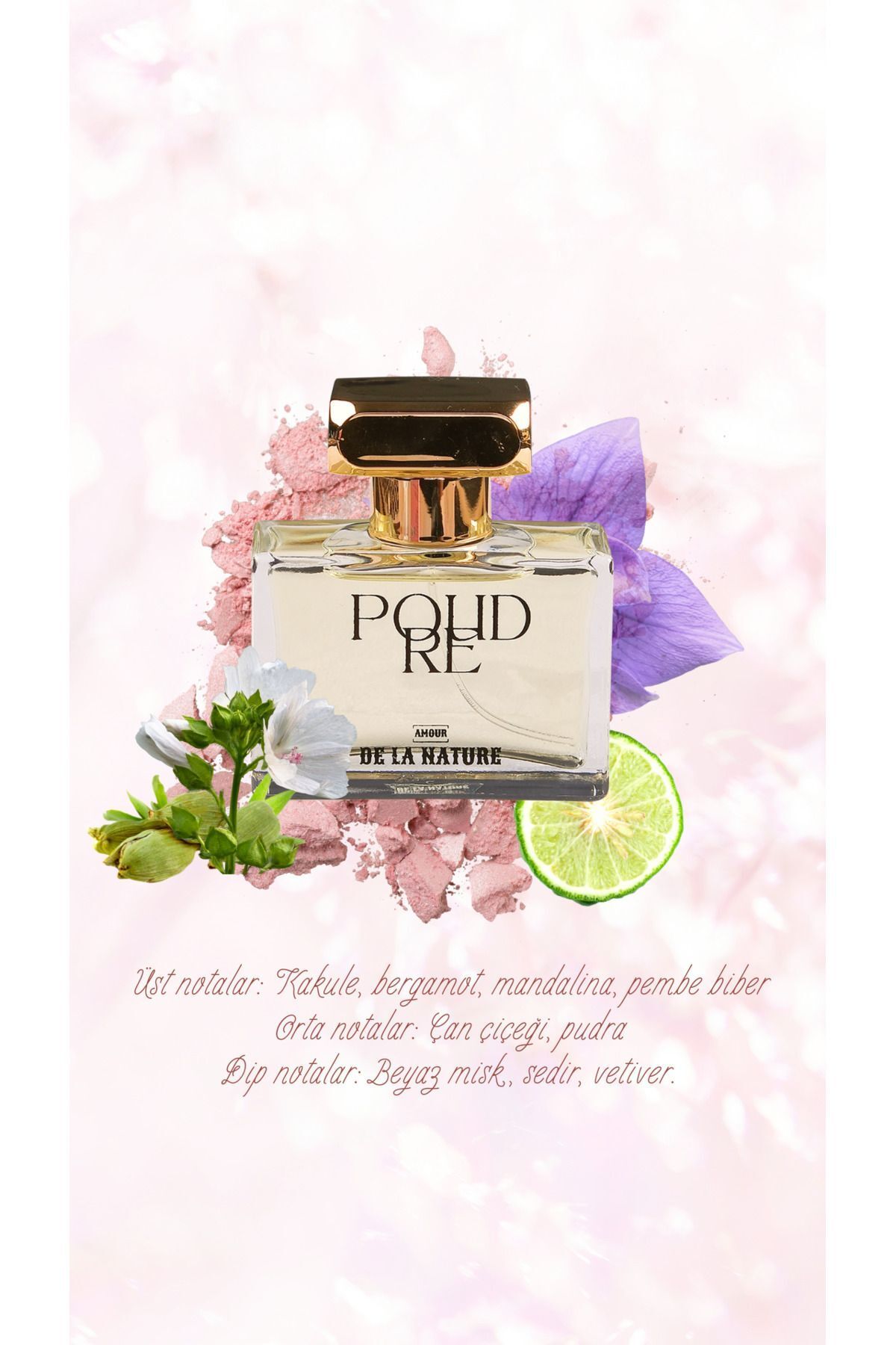 عطر زنانه POUDRE ادوپرفیوم 50ML AMOUR DE LA NATURE