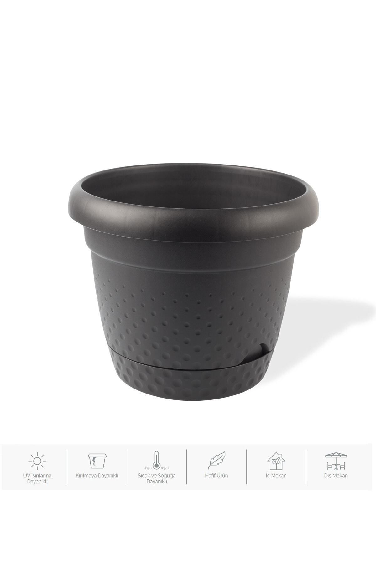 1,1 Litre Inci Saksı 15cm Kendinden Tabaklı Plastik Çiçek Saksısı No1 7