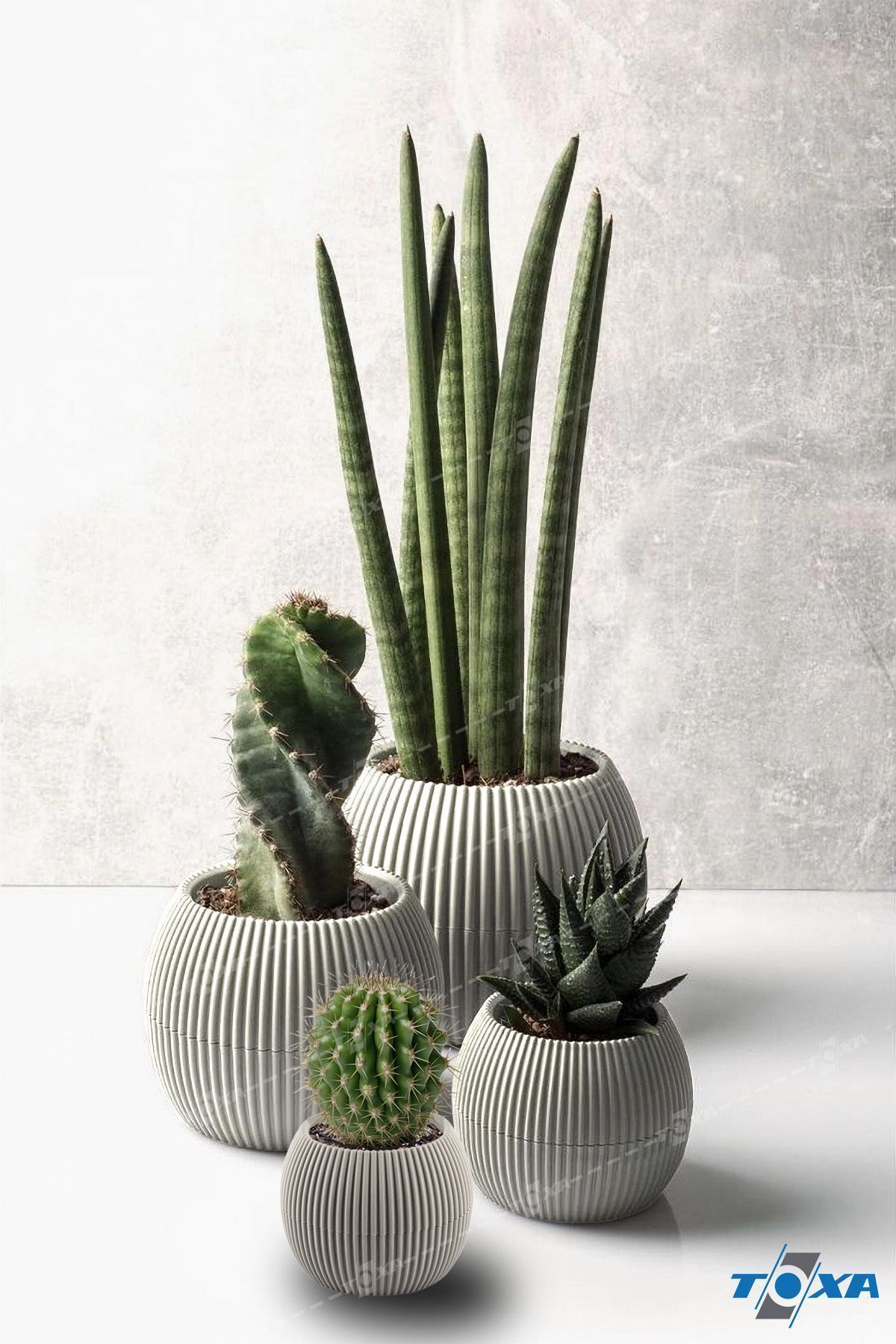 4 Size Coral Round Beige Flower Pot Set Blackwater Plastic Cactus Succulent Flower Pot Set