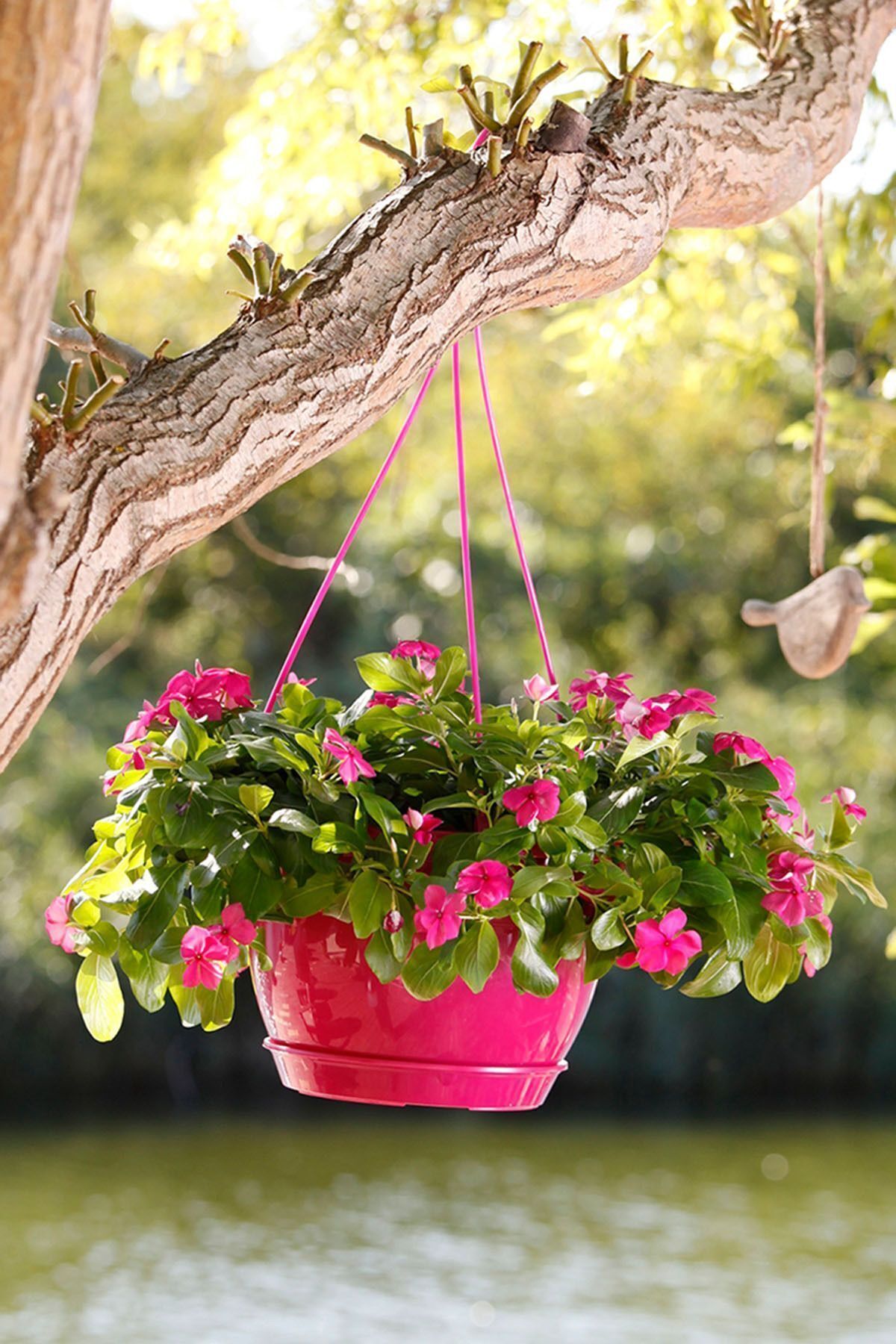 6 Litre Askılı Makrome Saksı Beyaz Tabaklı Safir Plastik Tavan Askı Parlak Çiçek Saksısı No3 3