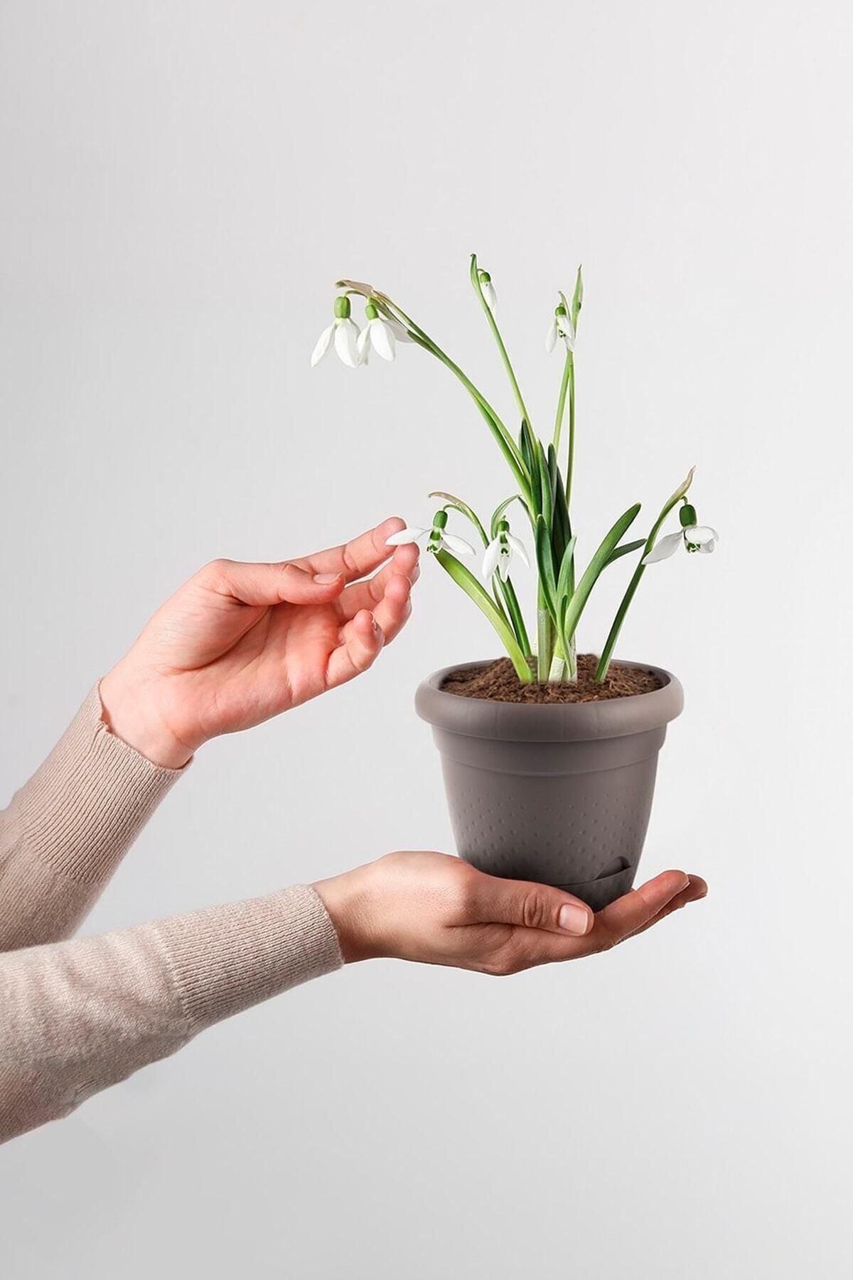 1,1 Litre Inci Saksı 15cm Kendinden Tabaklı Plastik Çiçek Saksısı No1 3