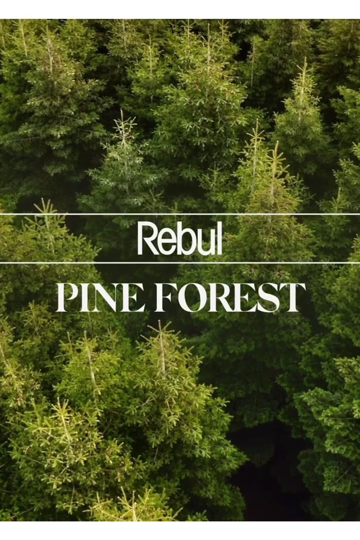Rebul Dökme Kolonyalı Mendil Pine Forest 50 Adet Cafe Otel fotoğrafı 2 (önizleme)