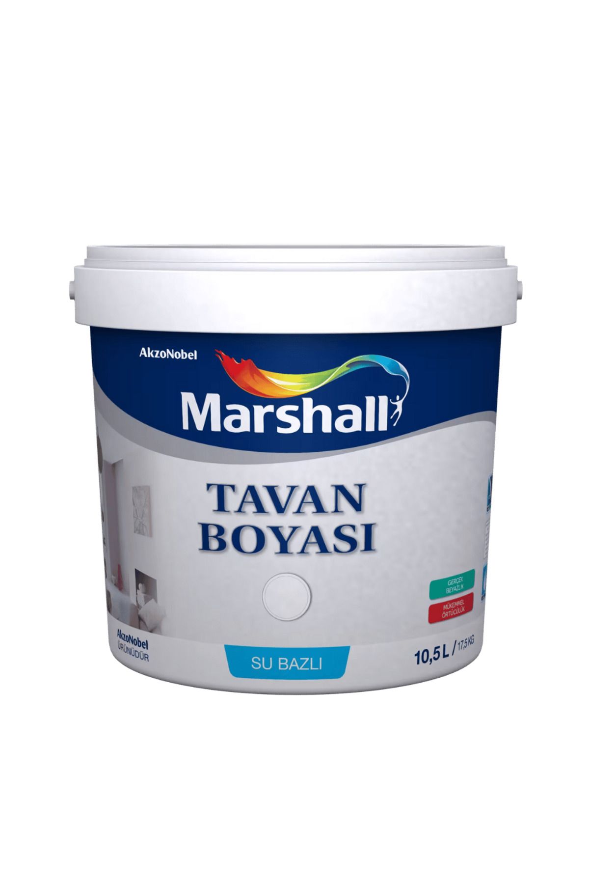 Marshall Tavan Boyası