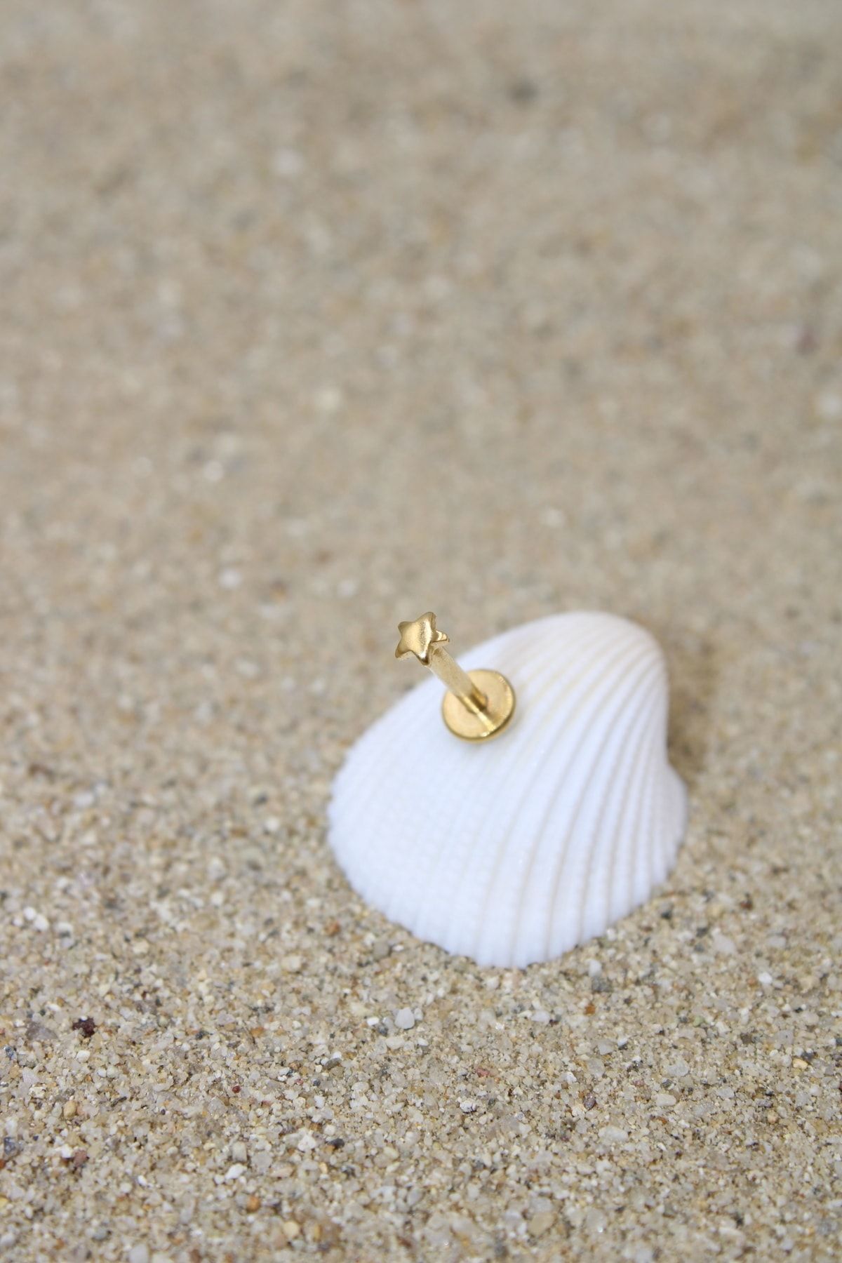 Piercing Surgical Steel Piercing Cartilage Tragus Conch Helix Gold Color 2.50 Mm Star Labret