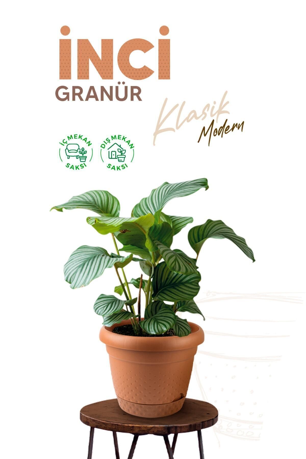 1,1 Litre Inci Saksı 15cm Kendinden Tabaklı Plastik Çiçek Saksısı No1 6